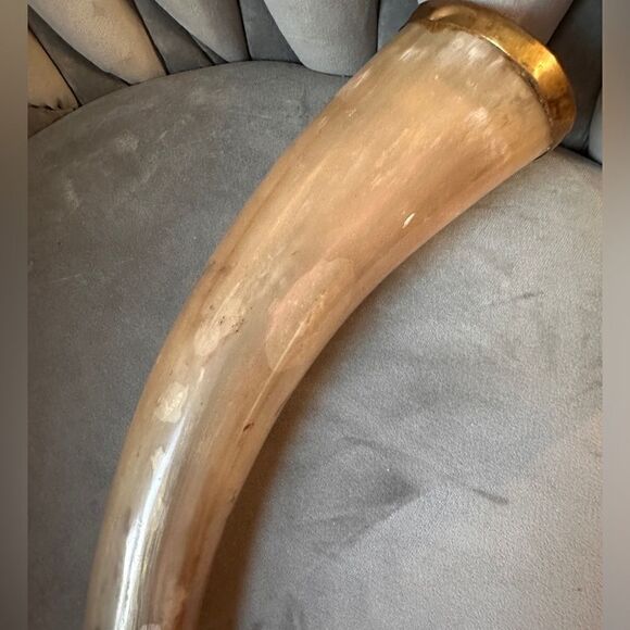 Handcrafted Natural Viking Beer Horn 16"Medieval Drinking Vessel Brass O… - Picture 11 of 15